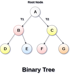 Binary Tree