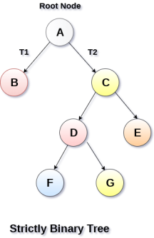 Binary Tree