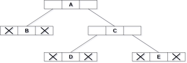 Binary Tree