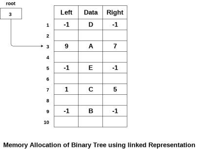 Binary Tree