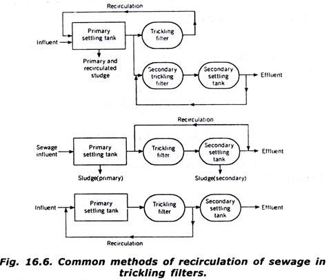 Common Methods of Recirculation of Sewage in Trickling Filters