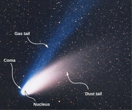 Figure shows a comet with a bright white part labeled nucleus. The part around this is labeled coma. Two tails radiate from here. They are labeled gas tail and dust tail.