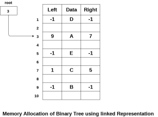 Binary Tree