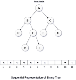 Binary Tree