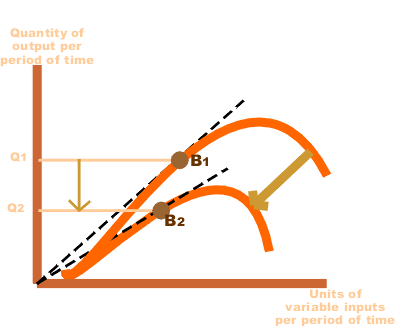 Production Function