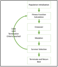 Basic Structure