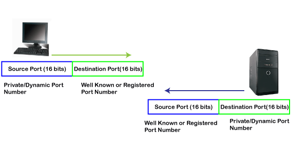 TCP Port