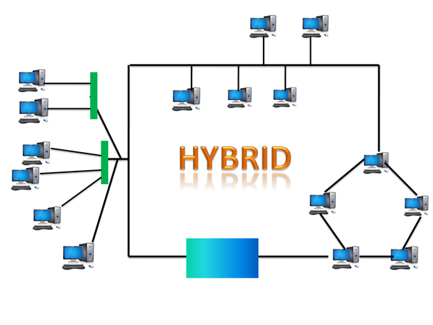 Computer Network Topologies