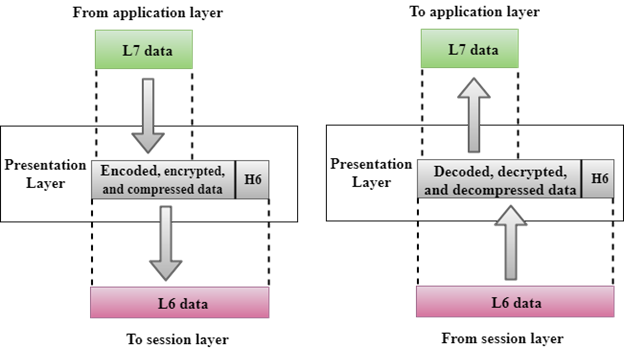 OSI Model