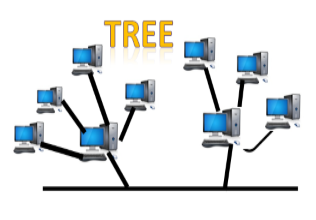 Computer Network Topologies