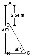 Applications of Trigonometry Class 10 Q 6 i