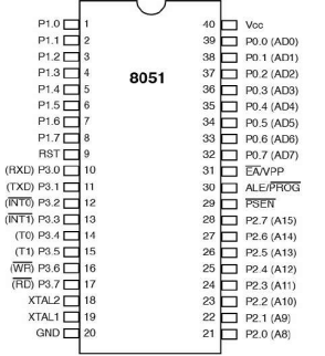 A picture containing table

Description automatically generated