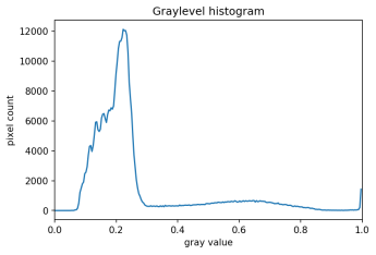 Maize root histogram