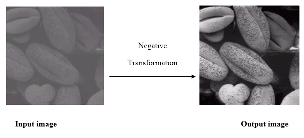 Gray Level Transformation