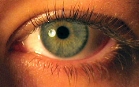 https://cdn.cambridgeincolour.com/images/tutorials/camera-eye_eye1.jpg