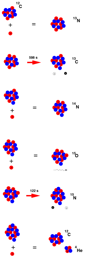 http://spiff.rit.edu/classes/phys230/lectures/stellar_energy/cno_cycle.gif