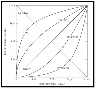 Gray Level Transformation
