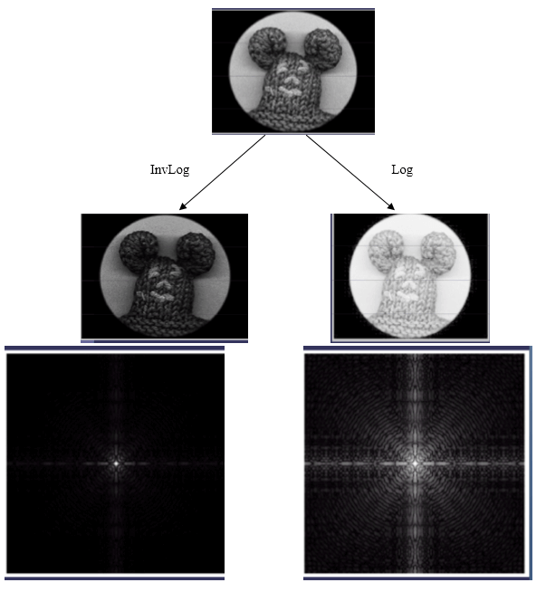 Gray Level Transformation