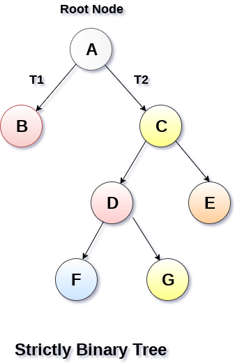 Binary Tree