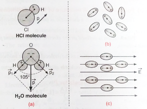 Polar Molecules