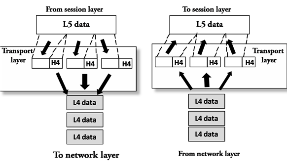 OSI Model