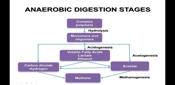 Treating Organics: The four stages of anaerobic digestion