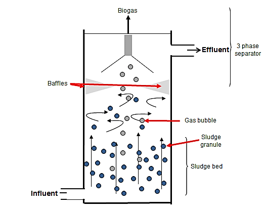 Concept of upflow anaerobic sludge blanket (UASB) reactor ...