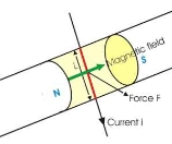 Left Hand Rule Magnetic Field