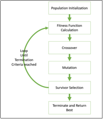 Basic Structure