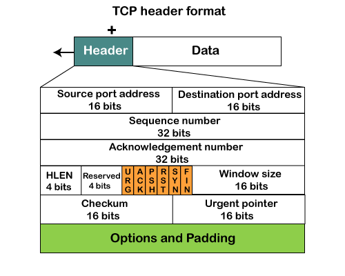 TCP