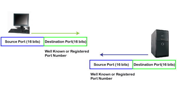 TCP Port