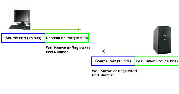 TCP Port