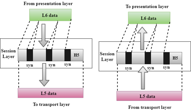 OSI Model