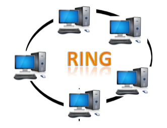 Computer Network Topologies