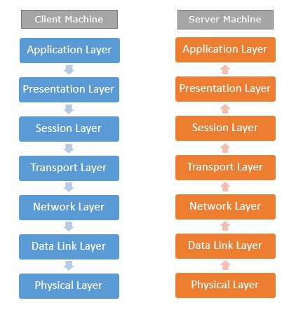 OSI Model