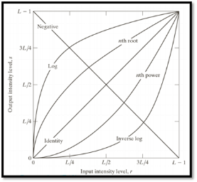 Gray Level Transformation
