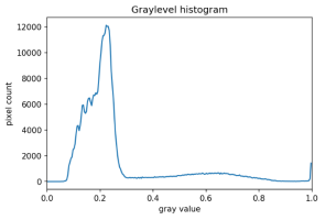 Maize root histogram